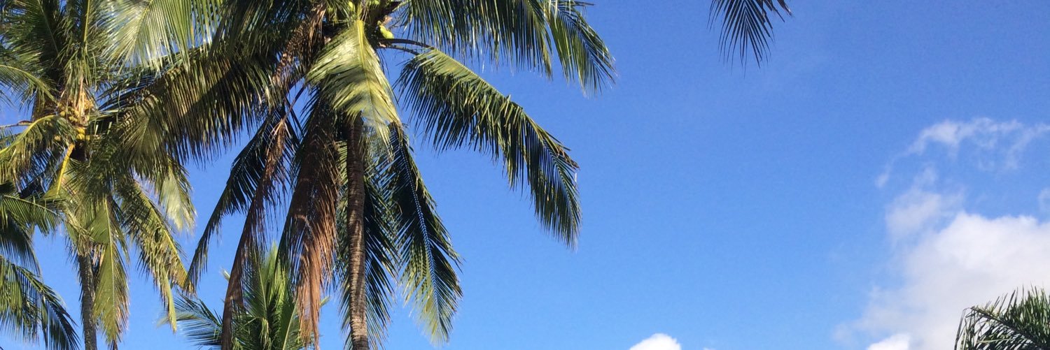 wryanlu's profile banner image