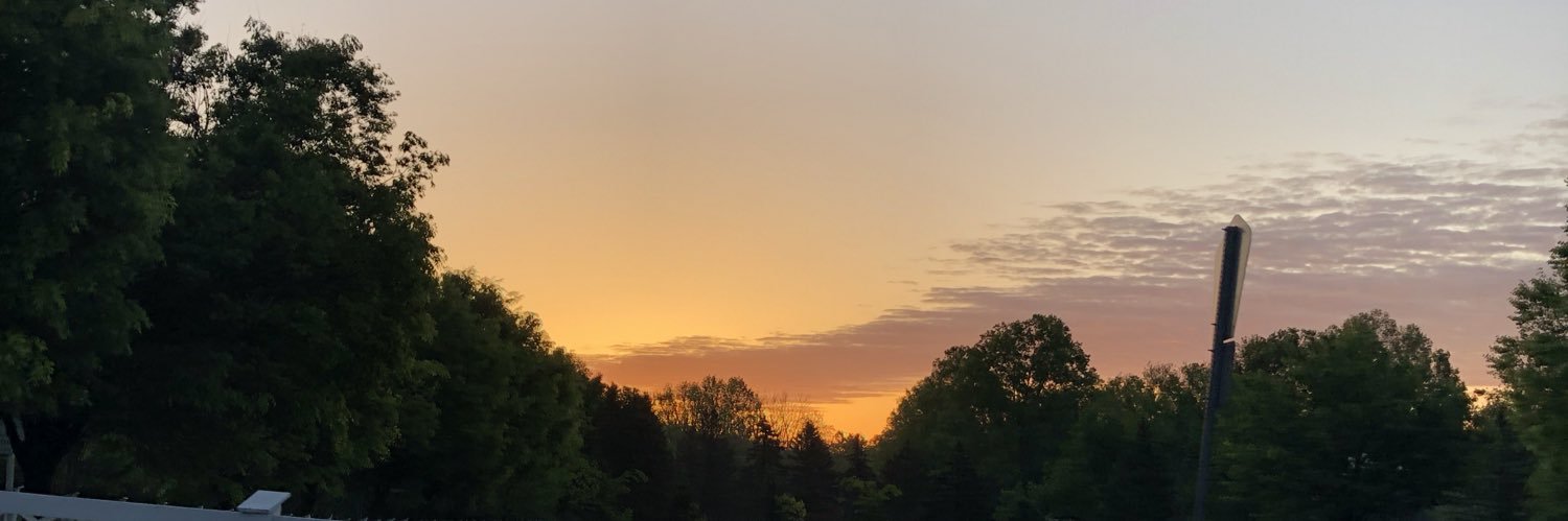KellyShenouda's profile banner image