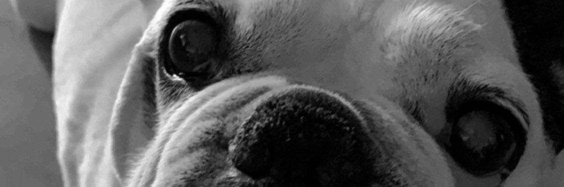 IsabelGerico's profile banner image