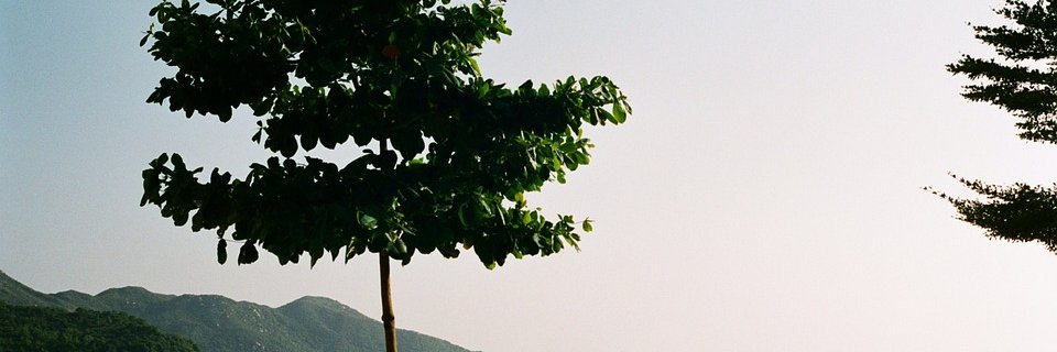 wahdanularifin's profile banner image