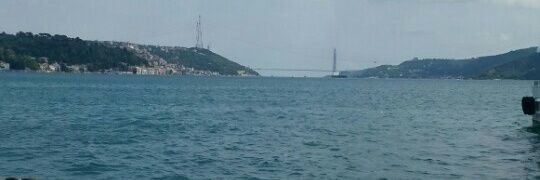 semra_unlu's profile banner image