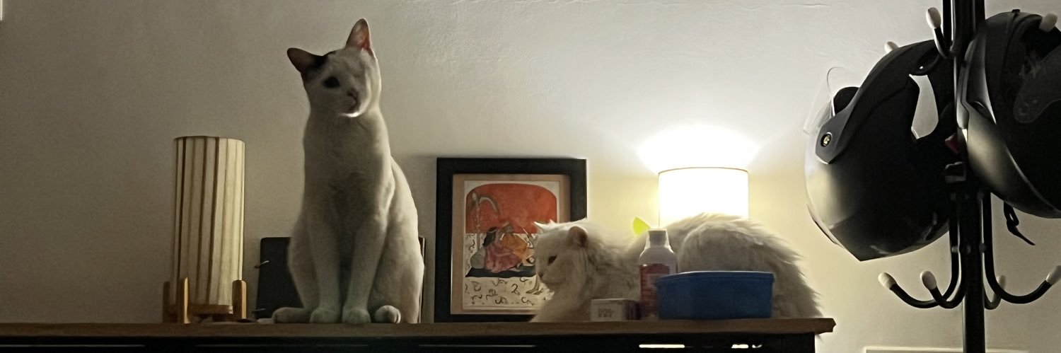 betheangel's profile banner image