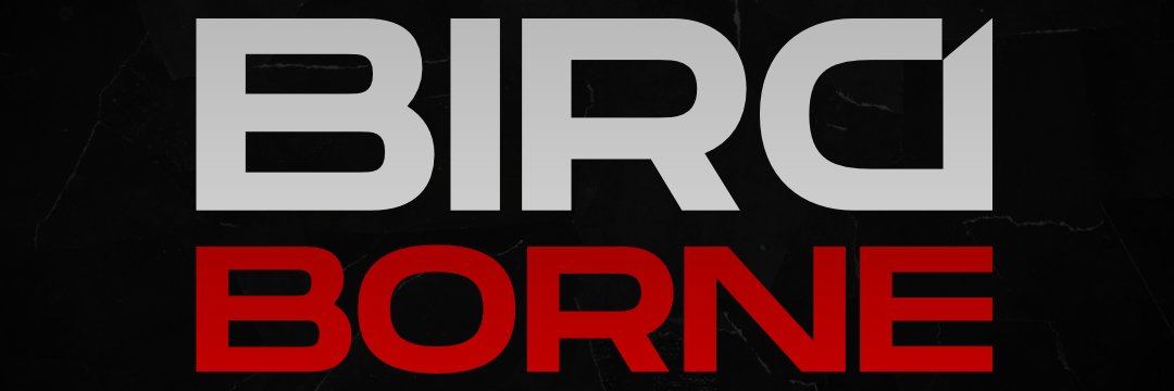 BirdBorne banner