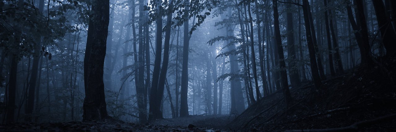 _moondance's profile banner image