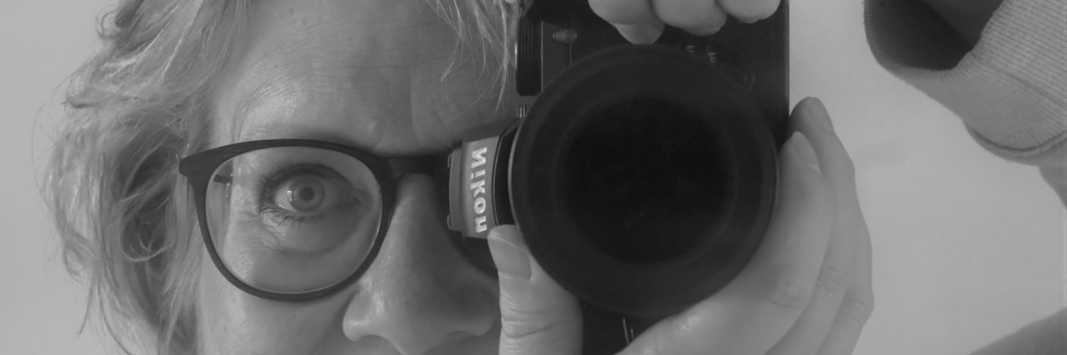 ilsehier's profile banner image
