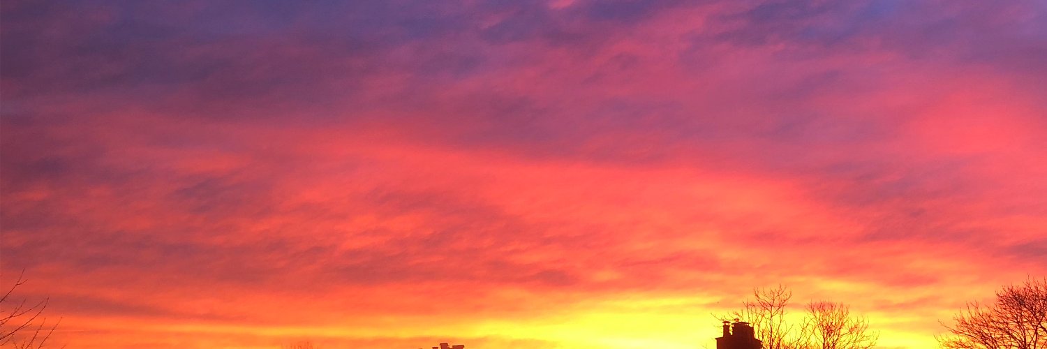 Sarah Anderson banner