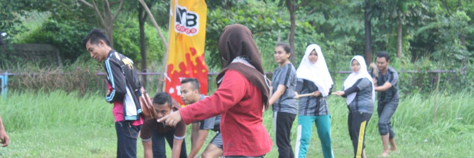 APinguin#77 banner