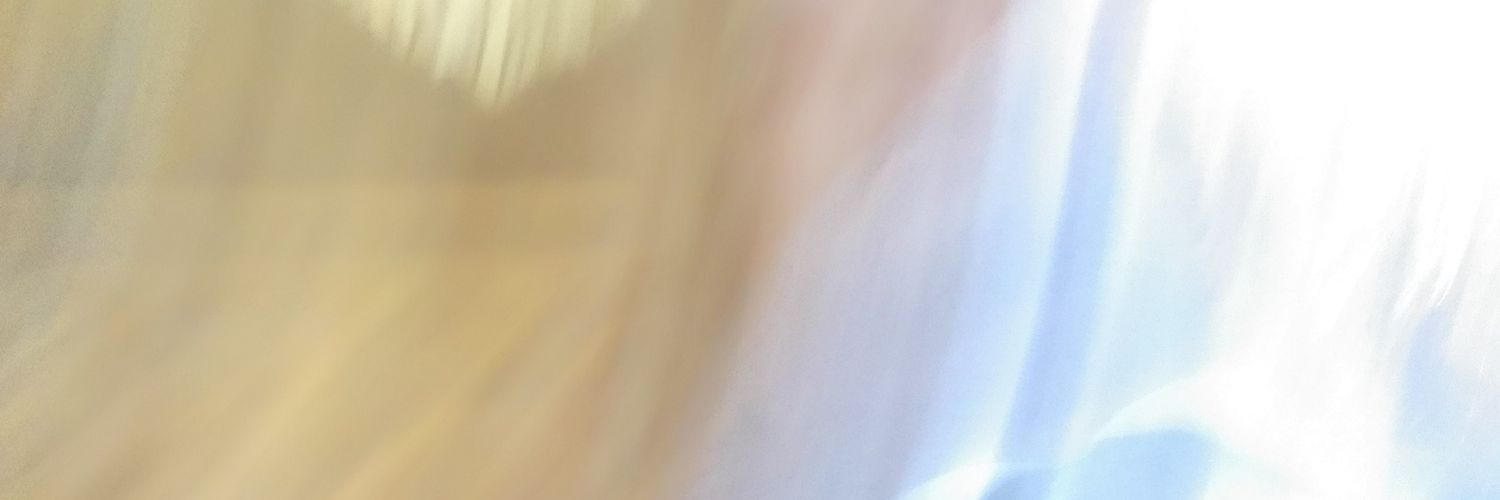 María Ruiz banner