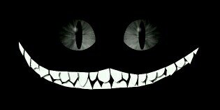 AliiMorena's profile banner image