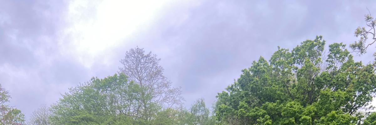 DrRChurch's profile banner image