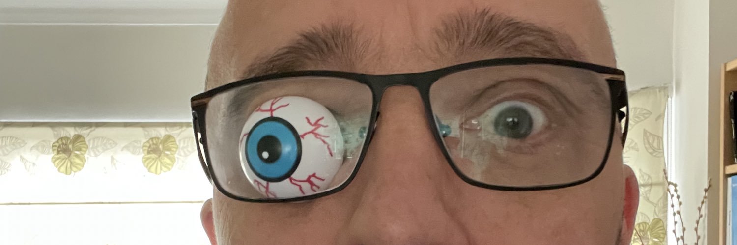 LeeDavidsonPlum's profile banner image