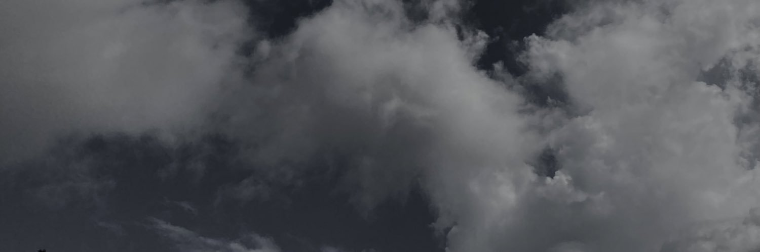 diannerm16's profile banner image