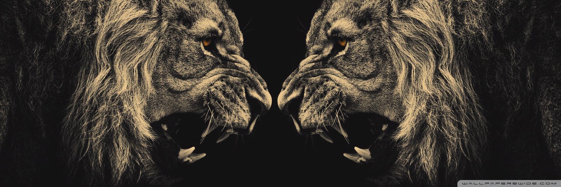 nedimkayaa's profile banner image