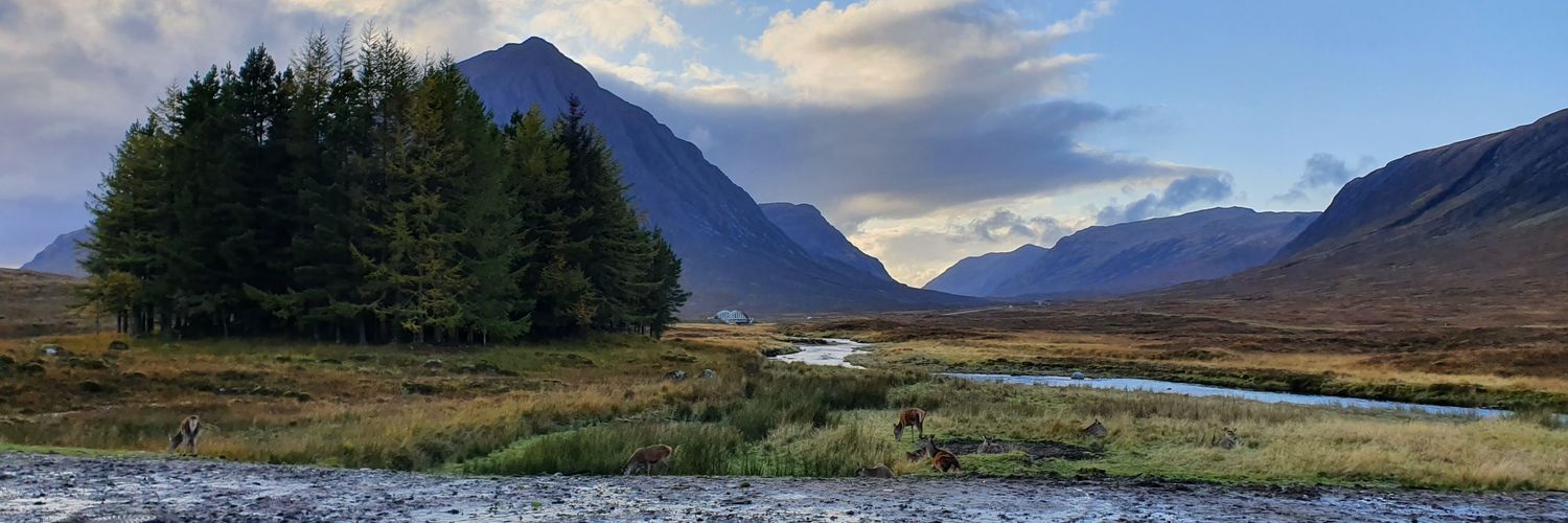 Lochaber79's profile banner image