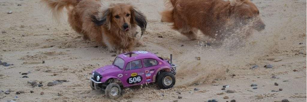 RallyeBaz's profile banner image