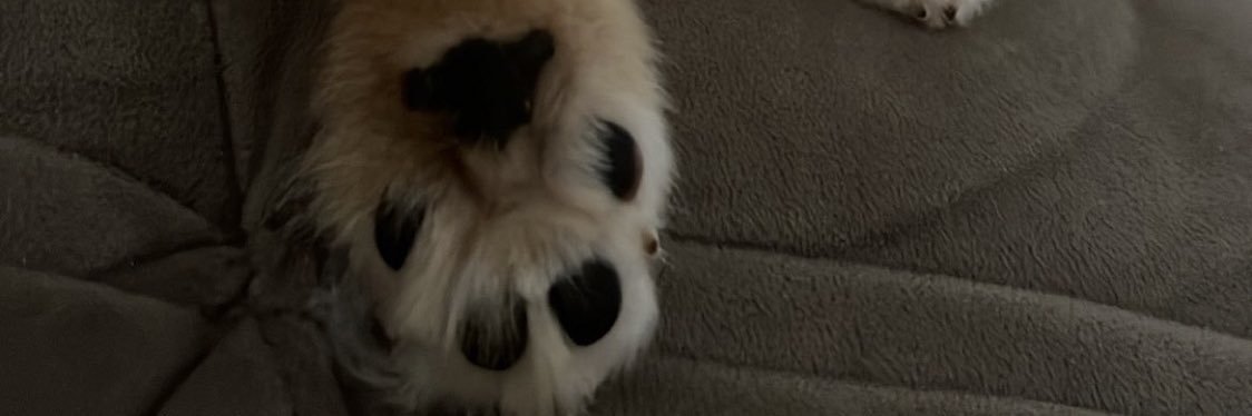 CesarAguilera45's profile banner image