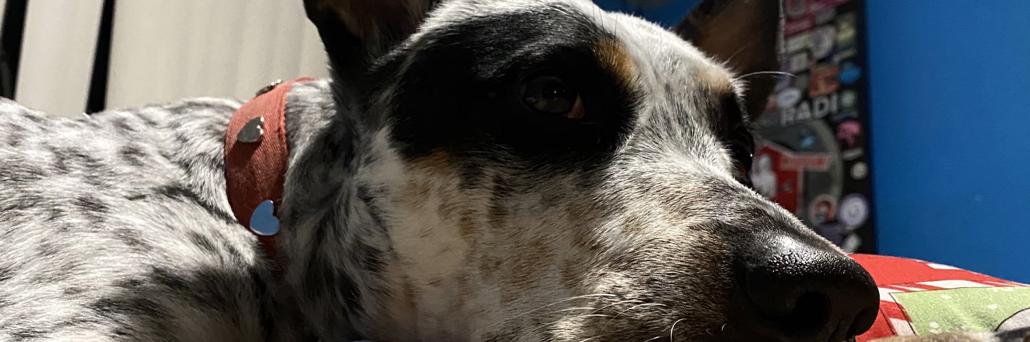 Luis Meixueiro banner