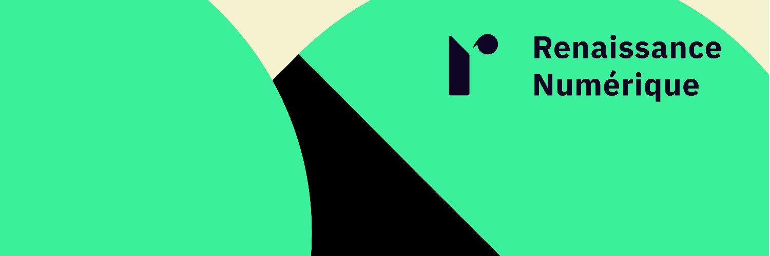 Renaissance Numérique banner