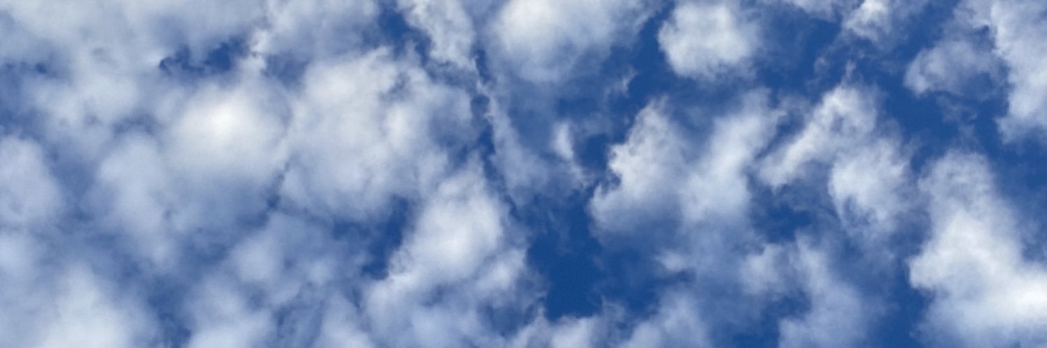 ThandoMdluli_'s profile banner image