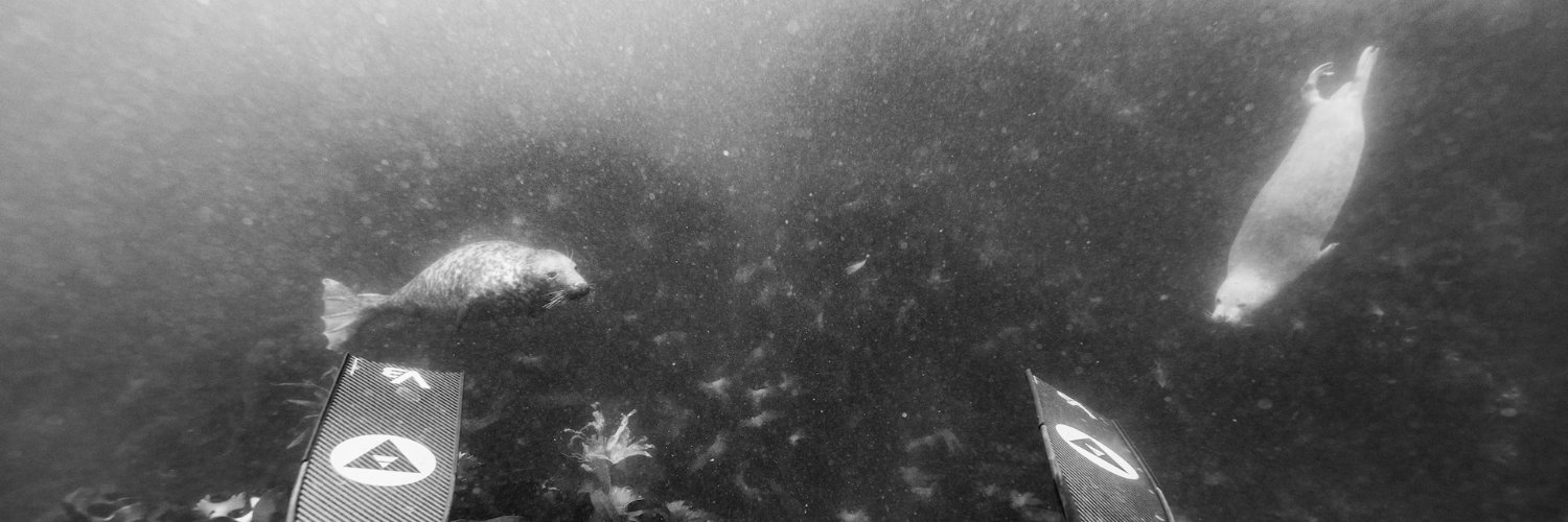 FreediverDaan's profile banner image