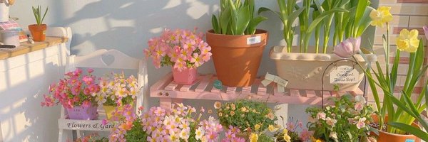 Micky_inin Profile Banner