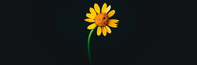 burakd85's profile banner image