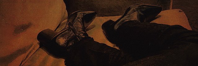 vampire breeding facility banner