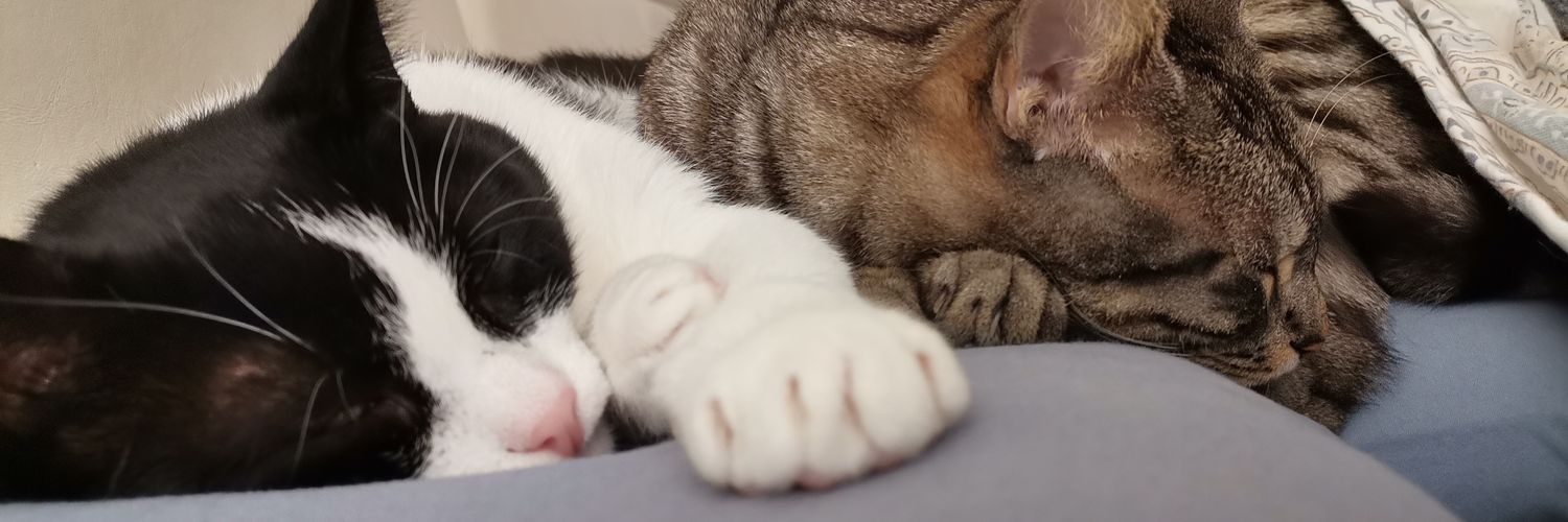 Me_lliso's profile banner image