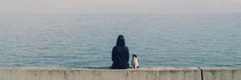 نوال ☀️. banner