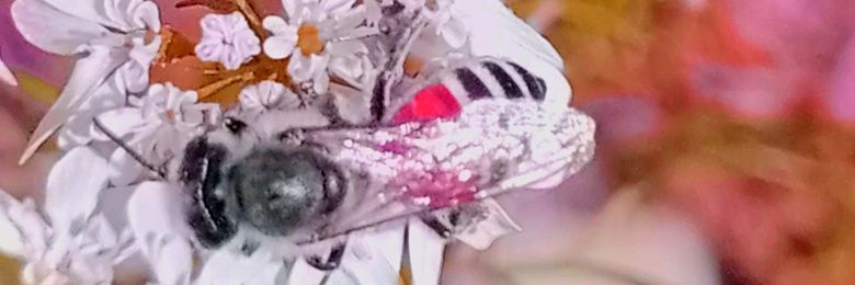 ishaquejee's profile banner image
