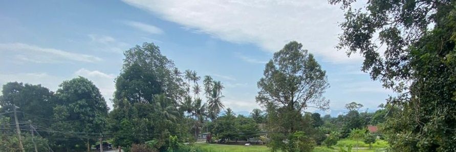 burungbirulah's profile banner image
