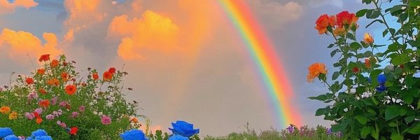saraharcero1's profile banner image