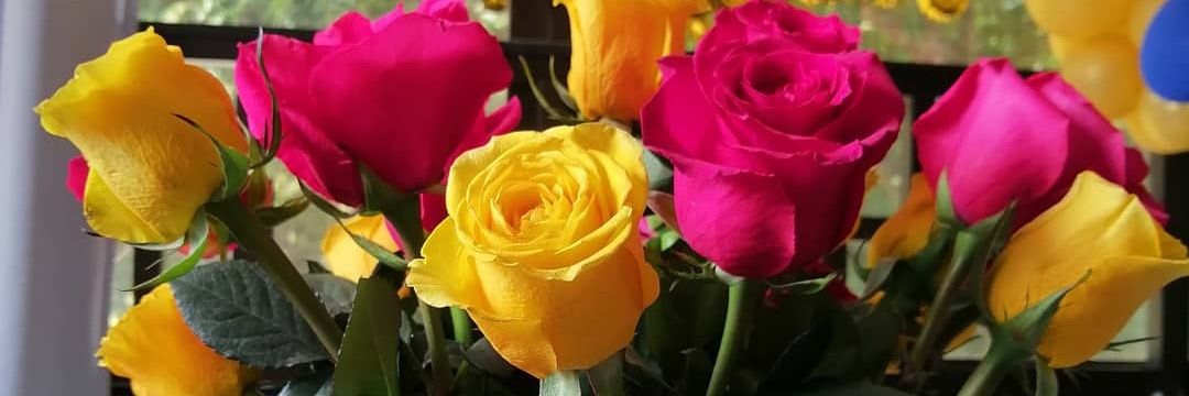 lvmartinez328's profile banner image