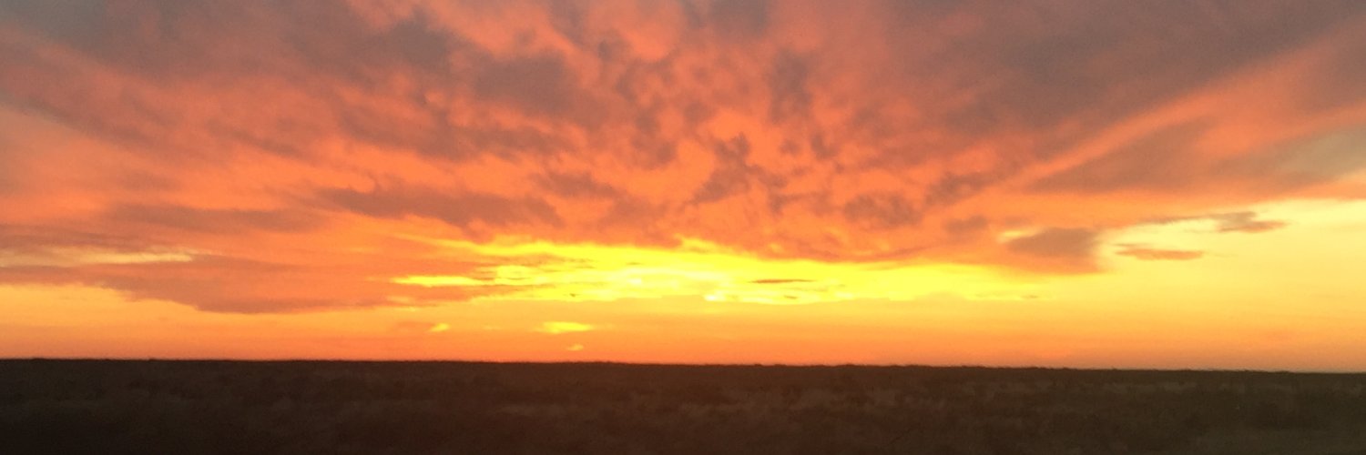 Michael Delzer banner