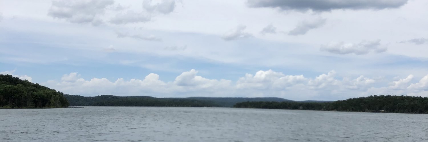 DSavarese's profile banner image