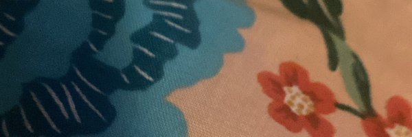carolbrady0 Profile Banner