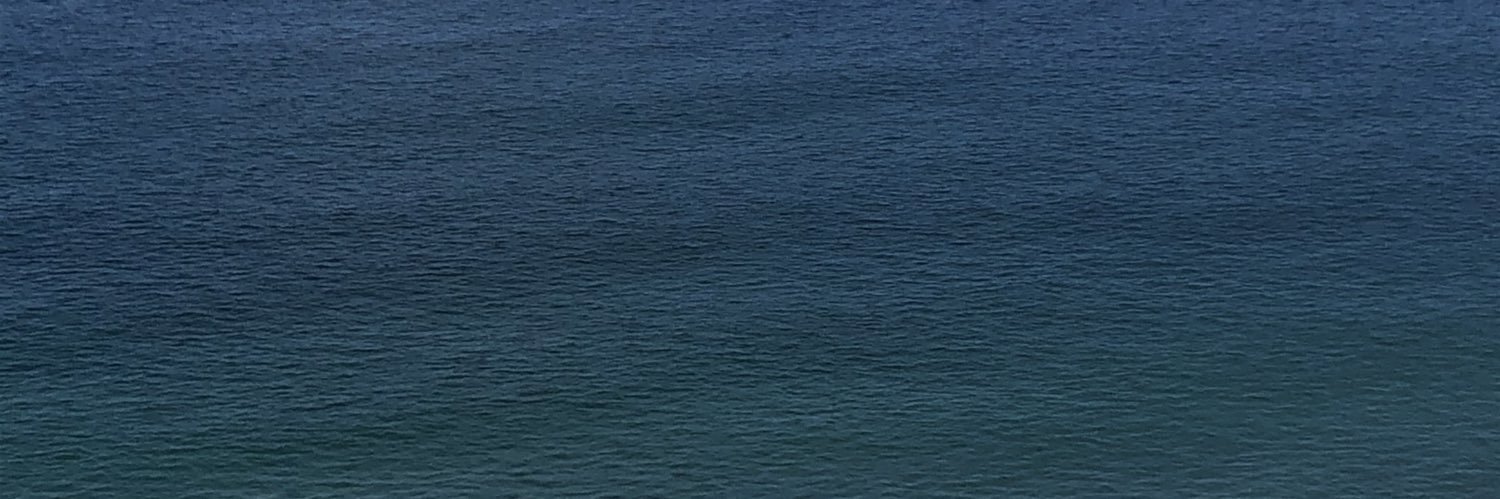AllieTester's profile banner image