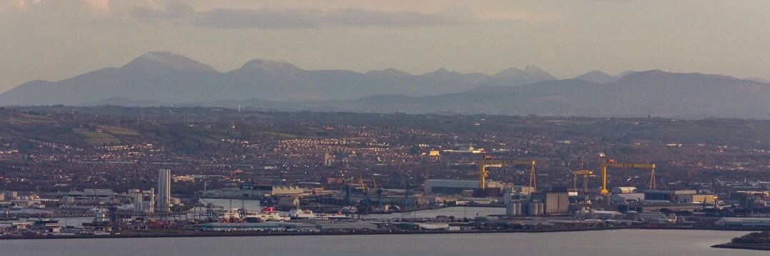 Connor McCann banner