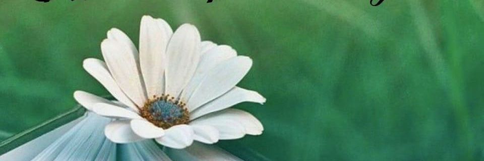 prineesh's profile banner image
