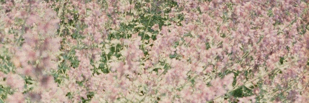 812_c's profile banner image