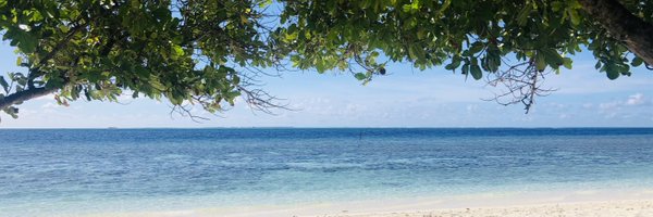 snee0810 Profile Banner