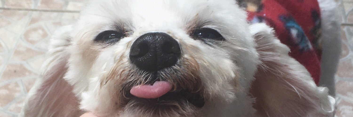 leleooli's profile banner image
