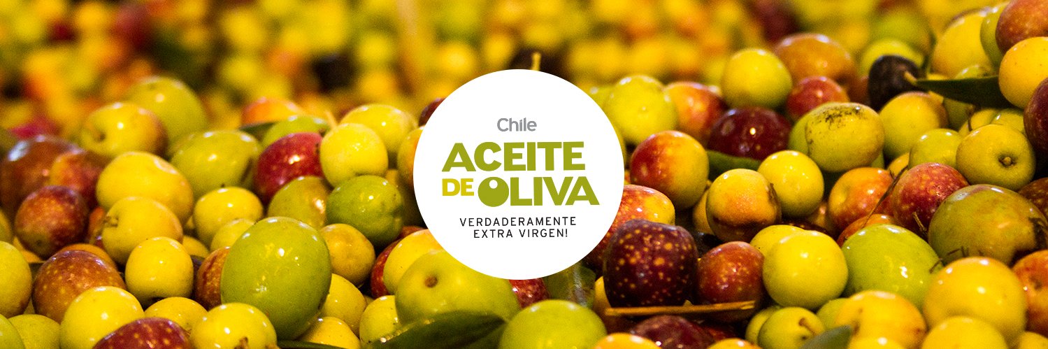 ChileOliva's profile banner image