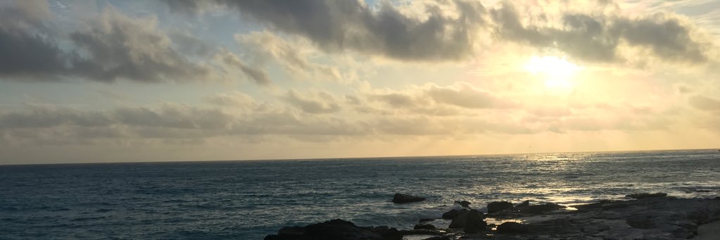 RGerads's profile banner image