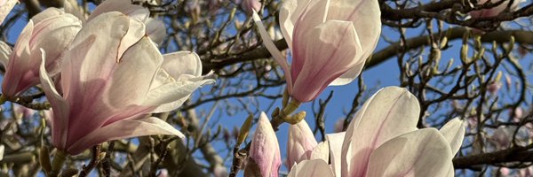 ProfLAppleby Profile Banner