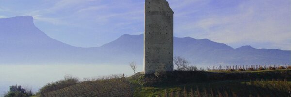 Massanois Profile Banner
