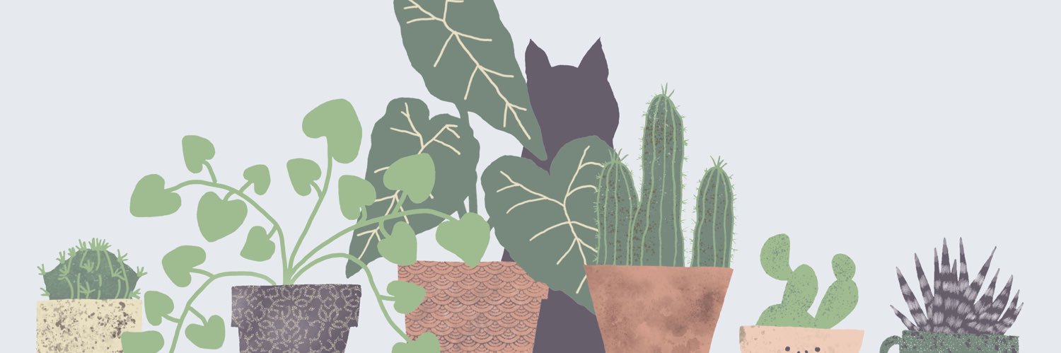 d banner