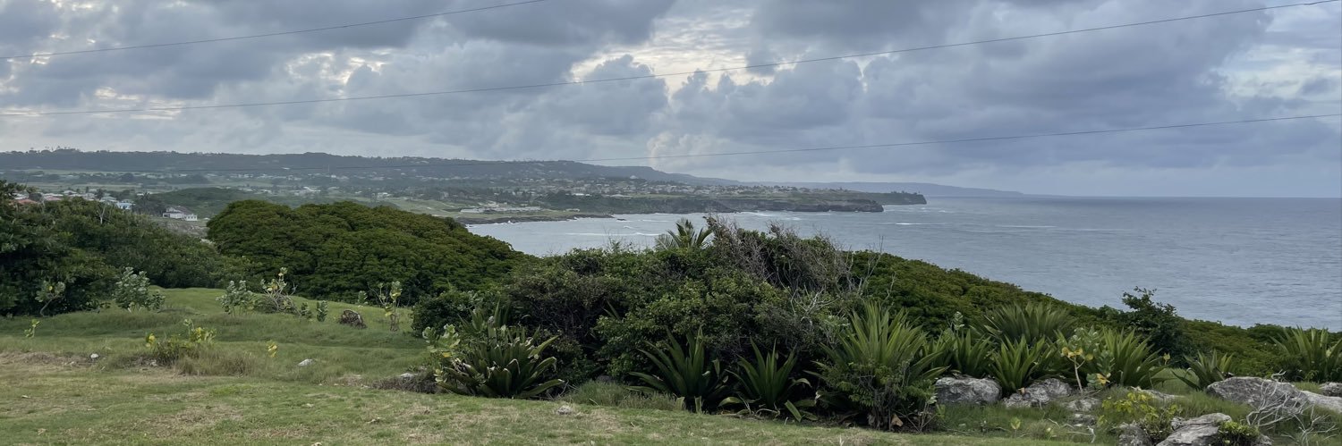 Wize Grazette 🇧🇧 banner