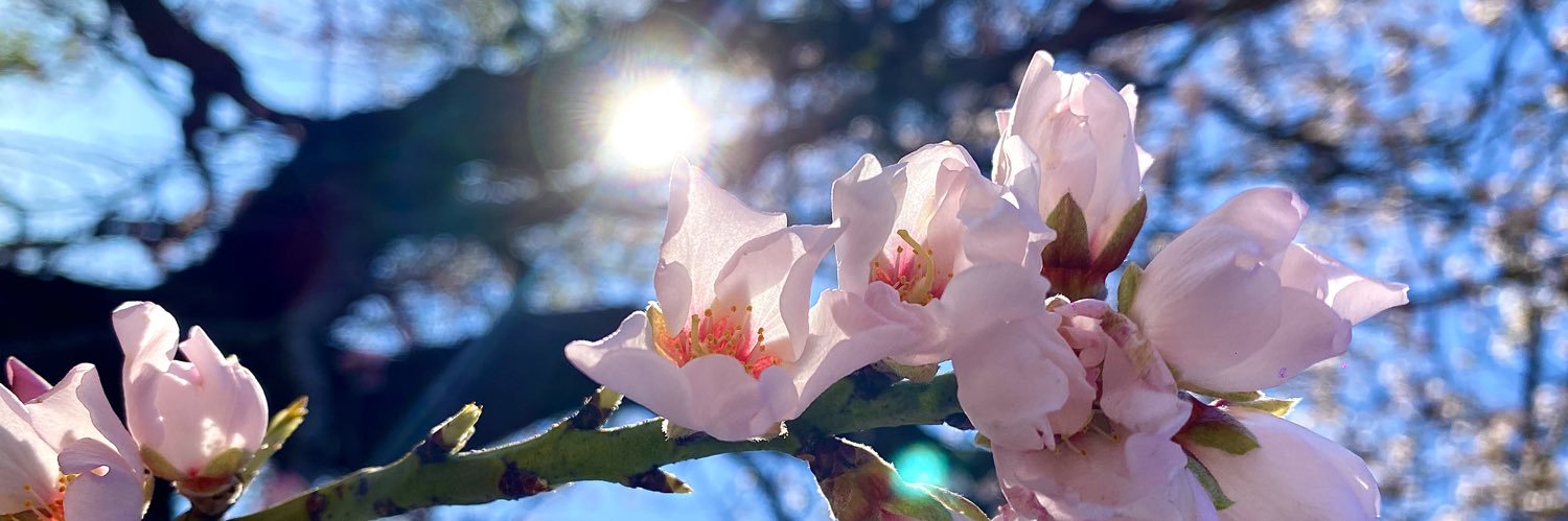 juditsq_'s profile banner image