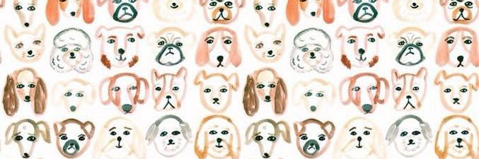 Becca Calfee banner